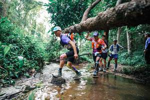 BIB: 
                            <button type="button" onclick="openModal(25369086)" class="btn btn-primary btn-sm float-right btn-popup" data-toggle="modal" data-target=".modal-high-quality">
                        <i class="fas fa-shopping-cart"></i> Add to Cart
                    </button>
                                            <button type="button" onclick="isThisMe(25369086, true)" class="btn btn-success btn-sm float-right btn-popup btn-isme hidden" data-toggle="tooltip" data-placement="bottom" title="นี่คือรูปของคุณใช่ไหม คลิกที่นี่เพื่อเอาเข้าอัลบั้ม">
                        <i class="fas fa-plus"></i> Add to album
                    </button>
                    <button type="button" onclick="isThisMe(25369086, false)" class="btn btn-warning btn-sm float-right btn-popup btn-isnotme hidden">
                        <i class="fas fa-ban"></i> Remove from album
                    </button>